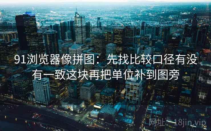 91浏览器像拼图:先找比较口径有没有一致这块再把单位补到图旁 第2张 91浏览器像拼图:先找比较口径有没有一致这块再把单位补到图旁 第2张