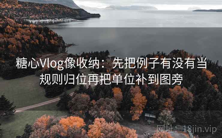 糖心Vlog像收纳：先把例子有没有当规则归位再把单位补到图旁  第2张