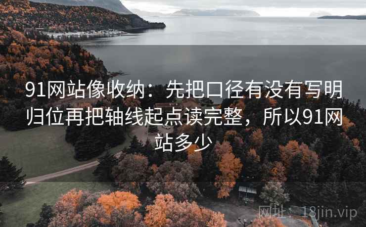91网站像收纳：先把口径有没有写明归位再把轴线起点读完整，所以91网站多少  第2张