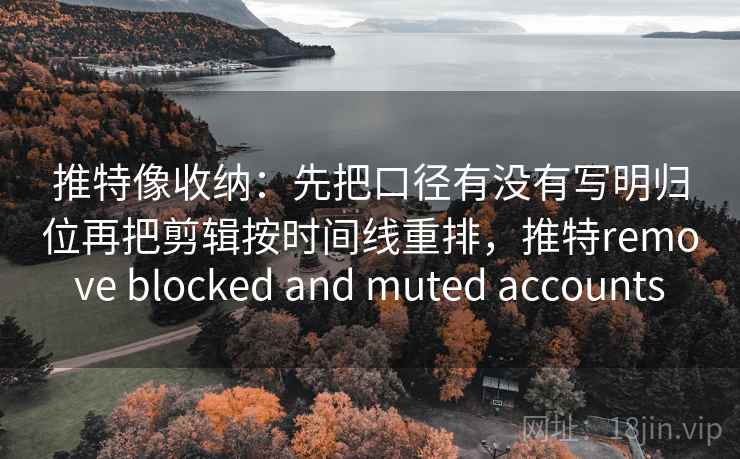 推特像收纳：先把口径有没有写明归位再把剪辑按时间线重排，推特remove blocked and muted accounts